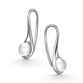 Серьги 02-4821.00ГХ-00 серебро_0